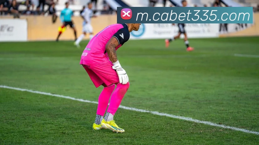 互动解说服务